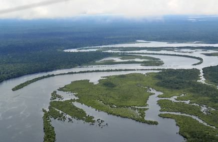 Mejores Gastronomías y Hostelrías en Amazonas