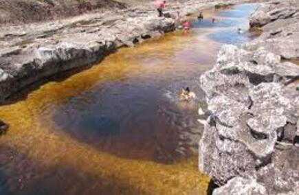 Gastronomías y Hostelerías en Guaviare: Lo Mejor