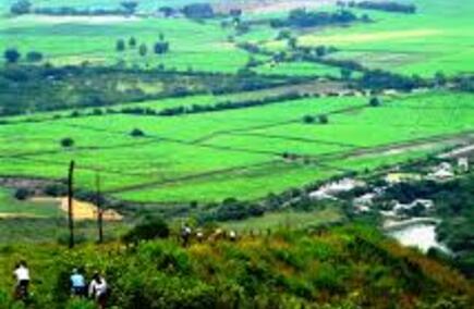 Gastronomías y Hostelerías en Valle del Cauca