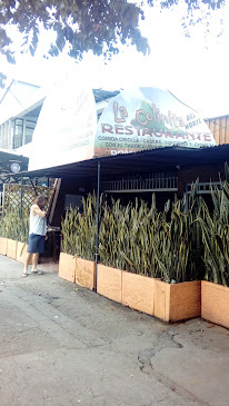 La Colinita Del Norte