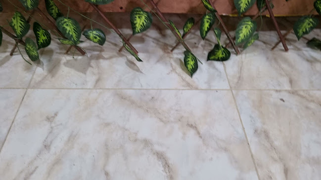 Comentarii opinii despre Piqueteadero Fritanga COGUAYORK