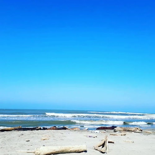 Comentarii opinii despre El Pez Que Canta