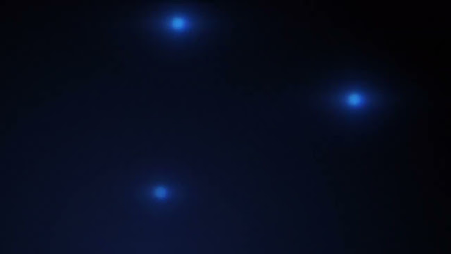 THE VAN CHAMPIONS BEER - Gastronomía y hostelería