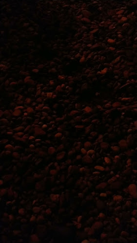 Opinii despre Paradise Food în San José Del Guaviare - Gastronomía y hostelería