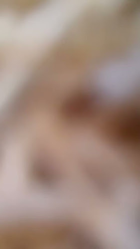 Just Burgers - Gastronomía y hostelería