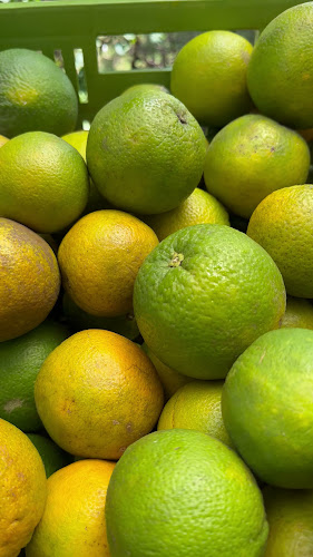 Villa Campestre, Cra. 21 D #26C-03, Girón, Santander