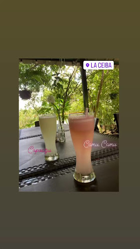 Opinii despre La Ceiba Restaurante Bar. în Florencia - Gastronomía y hostelería