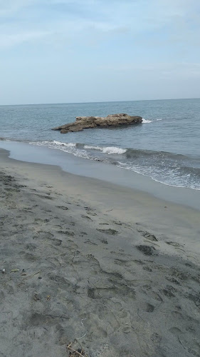 Opinii despre Salvator’s pizza & pasta delivery în Barranquilla - Gastronomía y hostelería