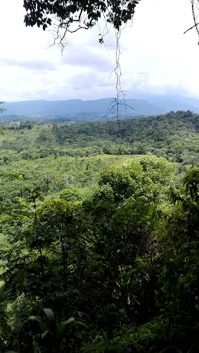 Le Mar Cebichería Restaurante Y Parrilla