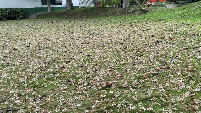 Floridablanca, Santander