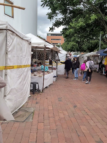 Mercado de Las Pulgas en Usaquén - Bogotá
