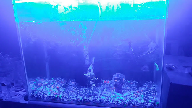 Estanco Y Estadero El Almendrito - Gastronomía y hostelería