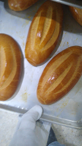 Trigales Panaderia y Pastelería - Gastronomía y hostelería