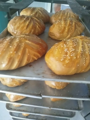 Comentarii opinii despre PastiPan