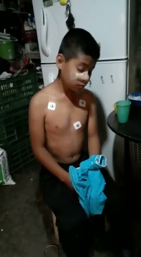 Pizzería - Gastronomía y hostelería