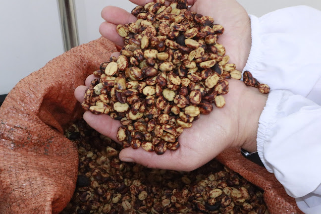 Café Mokatán - Gastronomía y hostelería