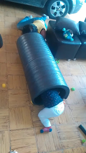 Comidas rapidas PICORO