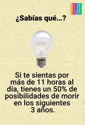 Cafe a lomo de mula - Gastronomía y hostelería