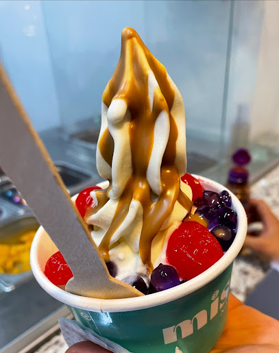 MISTURA - HELADO DE YOGUR NATURAL