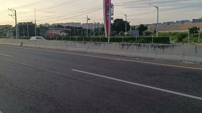 Dim Dom - Barranquilla