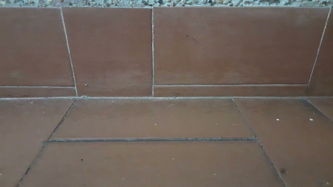 Comentarii opinii despre Burger King Colina