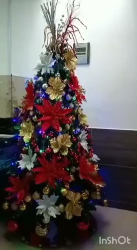 RESTAURANTE NUEVO EMPERADOR CHINA