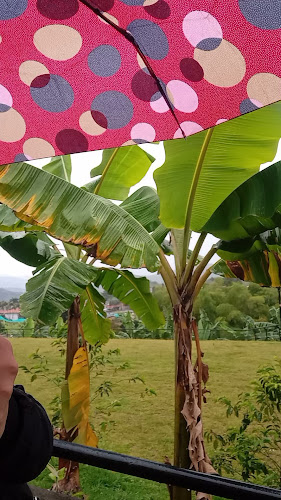 Mirador del Café - Piqueteadero