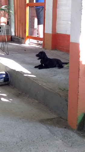 12- a, Calle 53 Bis No. 1239, Armenia, Quindío