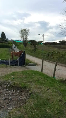 Opinii despre Fonda el tenampa în El Carmen de Viboral - Gastronomía y hostelería