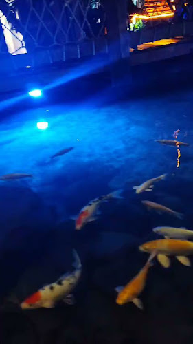 R36 STEAK HOUSE BARBECUE BAR carne a la llanera (asada y barbecue) Eventos sociales 15 años bodas cumpleaños restaurante