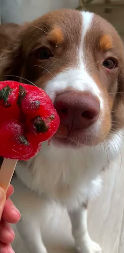 Comentarii opinii despre Lanutt brunch & coffee