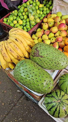 Av. Las Palmas #10-97 a 10-61, Sabaneta, Fusagasugá, Cundinamarca