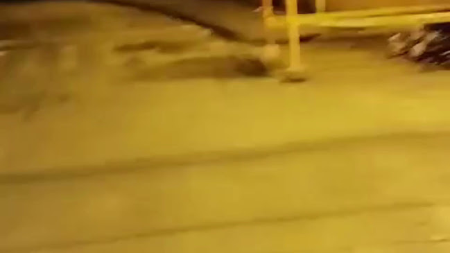 Opinii despre Jazzbar licores manizales 24/7 în Manizales - Gastronomía y hostelería