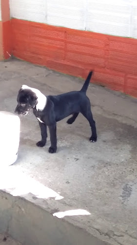 La Esquina del chorizo - Gastronomía y hostelería