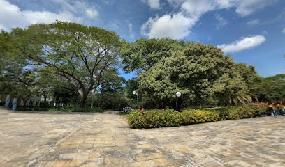 Tienda -Cafetería Museum Shop & Coffe