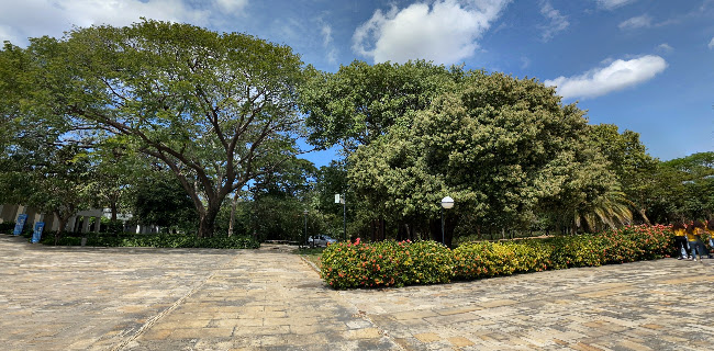 Tienda -Cafetería Museum Shop & Coffe