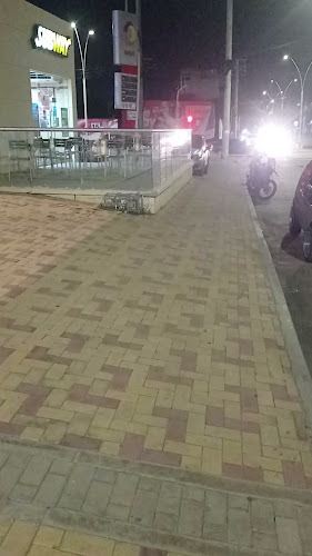 Frisby Estacion San Pedro