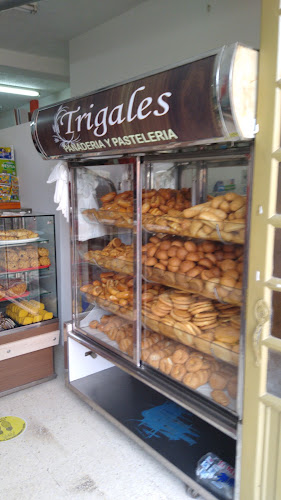 Trigales Panaderia y Pastelería - Gastronomía y hostelería