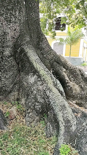 Comentarii opinii despre La Barca Del Capitán Rozo