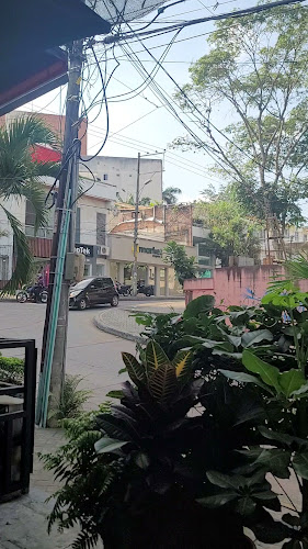 Restaurante Ambrosía de la Higuera - Pizzas, pastas y ensaladas - Cali