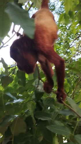 Opinii despre Rio - heladería în Montería - Gastronomía y hostelería