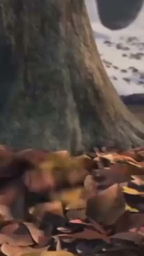 Cra. 14 #59, Jamundí, Valle del Cauca