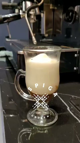 ESPIGA ORIGEN - Pasto