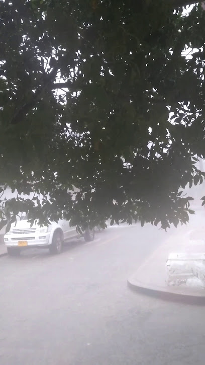 PANADERÍA 20 DE JULIO DE LA MURILLO