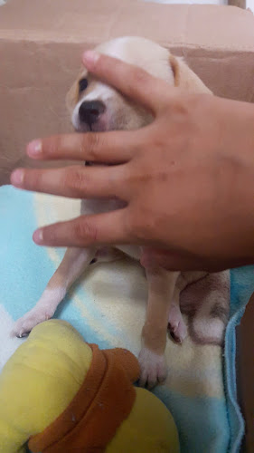 Restaurante Dumar - Aguazul