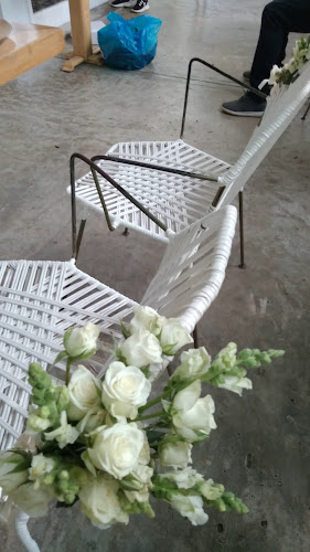 Opinii despre Taypa în Valledupar - Gastronomía y hostelería