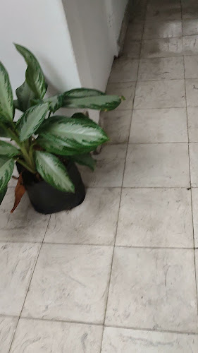 Opinii despre Grill Pizza, Pizzeria y comidas rápidas. în Popayán - Gastronomía y hostelería