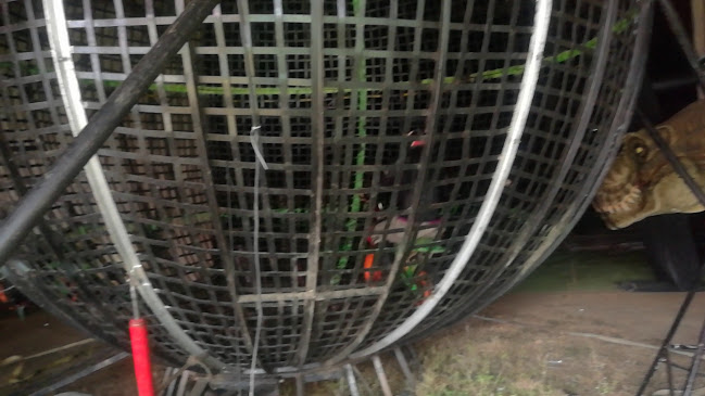 Pa Mayte - Villavicencio