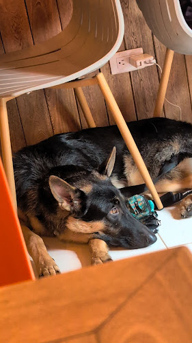 Opinii despre Hola Café în Envigado - Gastronomía y hostelería