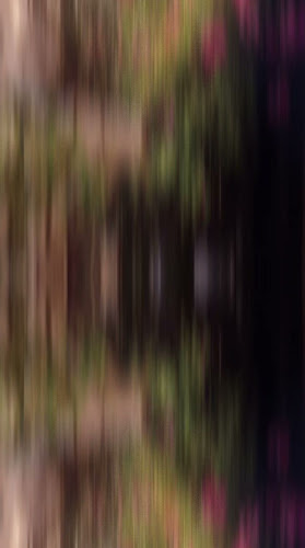 Opinii despre La Bodega Sogamoso Club Bolirana în Sogamoso - Gastronomía y hostelería